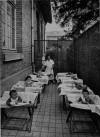 La terrasse des tout-petits