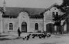 La basse-cour